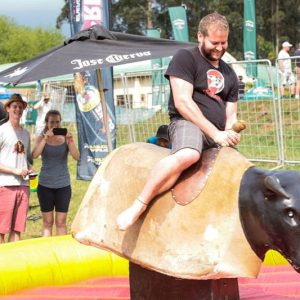 Mechanical Bull