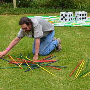 Giant Pick Up Sticks