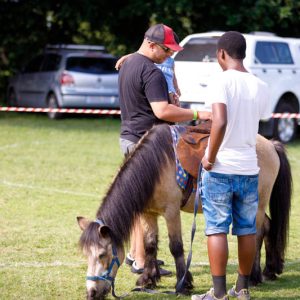 Pony Rides